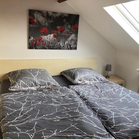 Studio Apartment 阿尔斯多夫 外观 照片